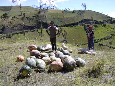 Quilotoa14