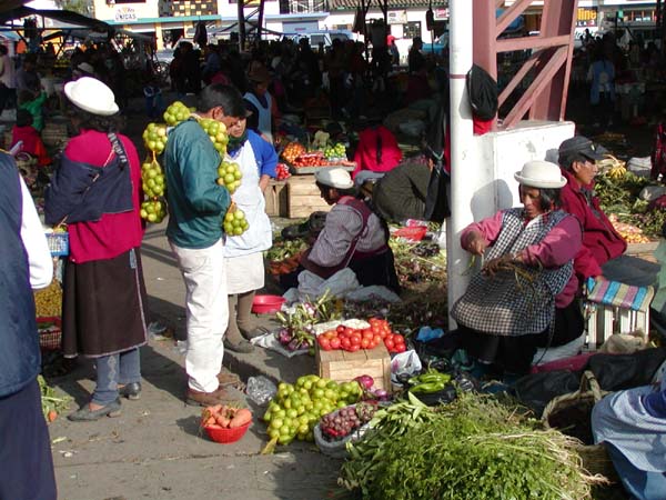 Cotopaxi-Quilotoa61