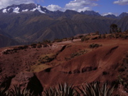 50 Blick auf die Cordillera Urubamba